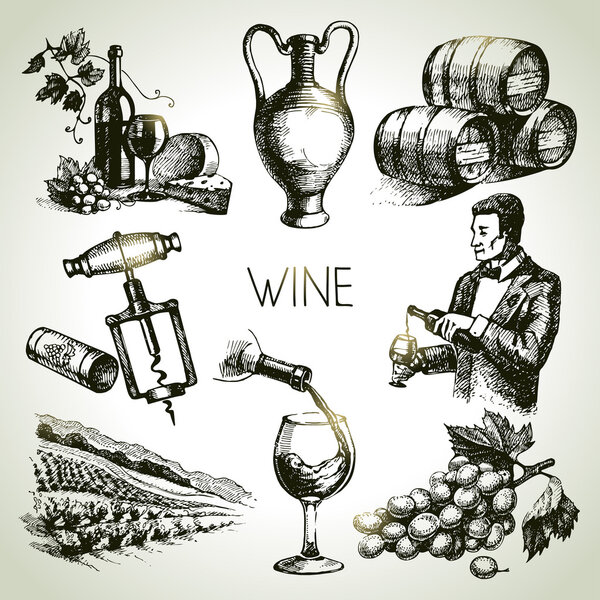 Hand drawn sketch vector wine set