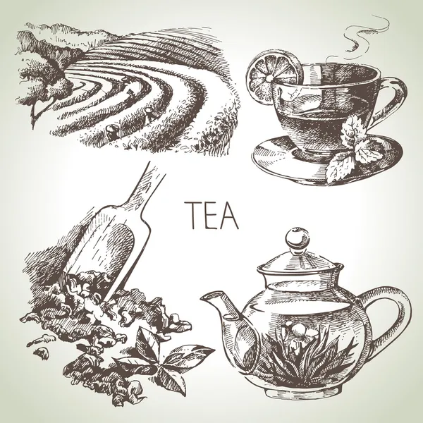 Sada čaje — Stockový vektor