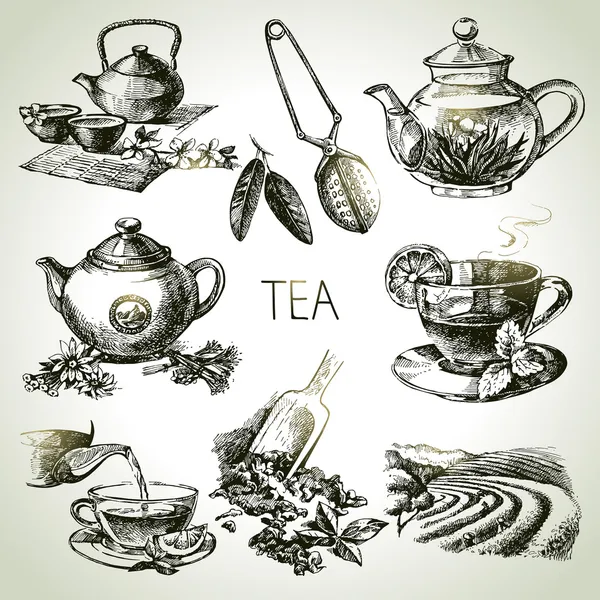 Tea set — Stock Vector