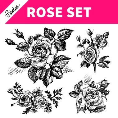 conjunto de desenho floral. mão desenhadas ilustrações de rosas 