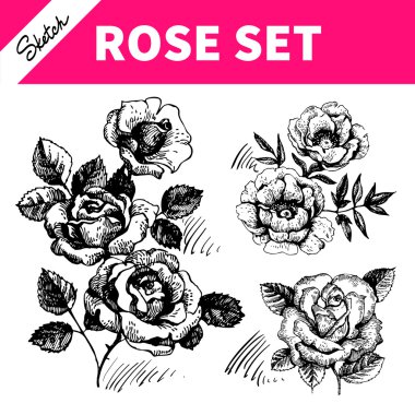conjunto de desenho floral. mão desenhadas ilustrações de rosas 