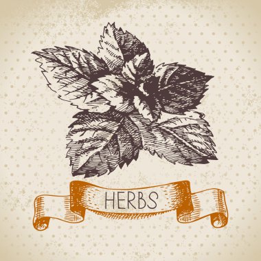 Kitchen herbs and spices clipart