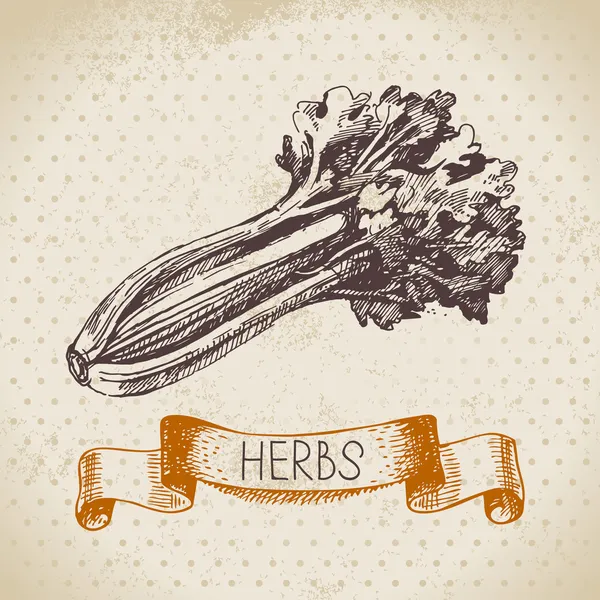 Hierbas y especias de cocina — Vector de stock