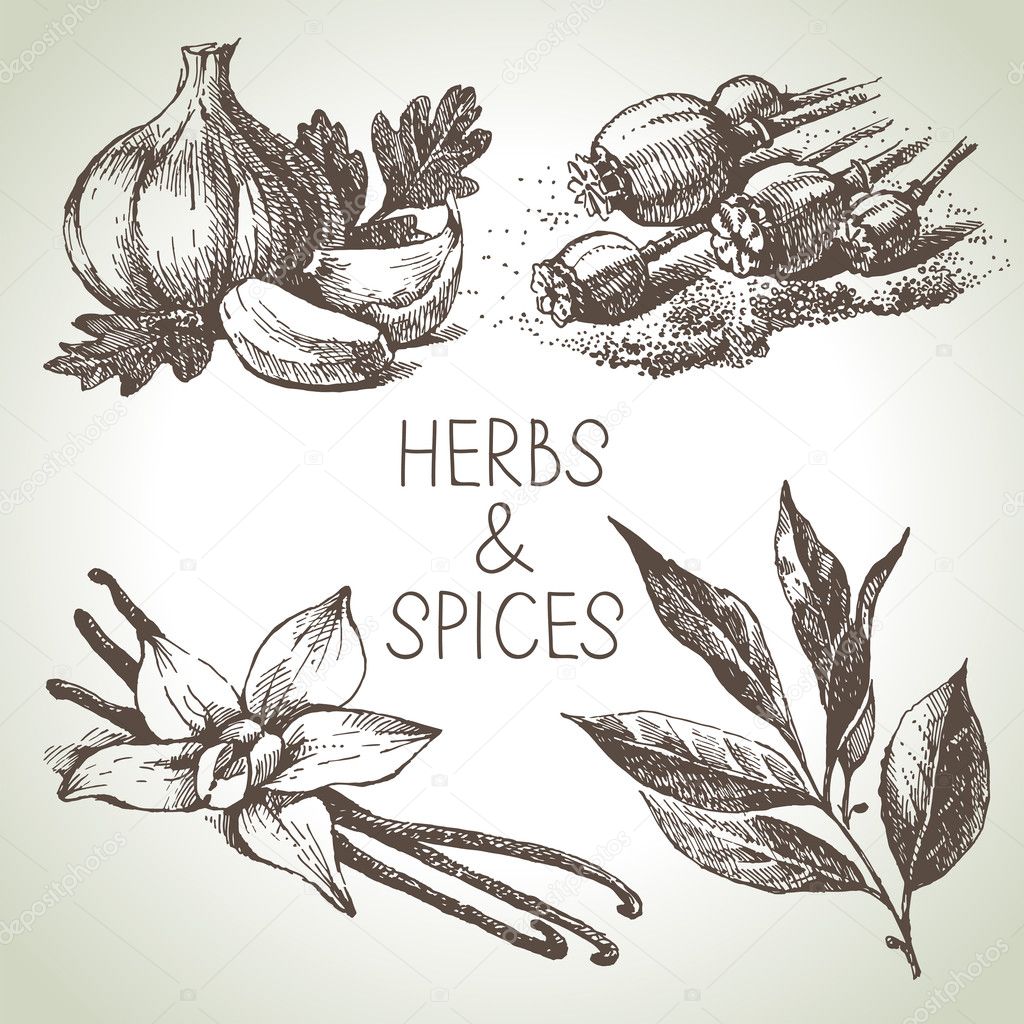 Kitchen herbs and spices.