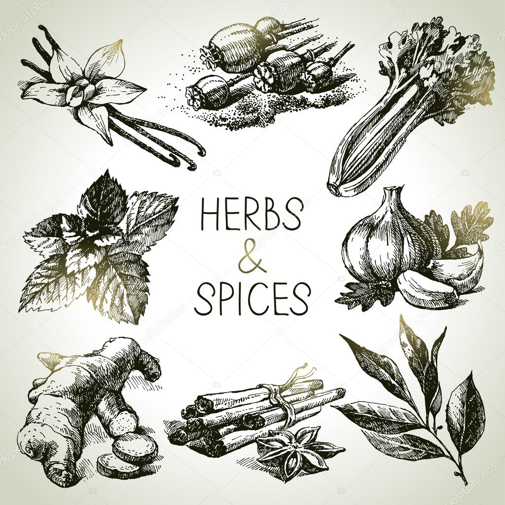 Kitchen herbs and spices