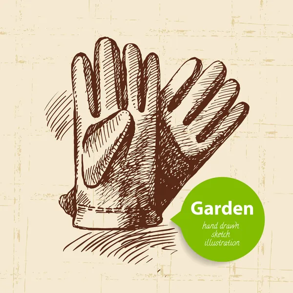 Desenho vintage jardim fundo . — Vetor de Stock