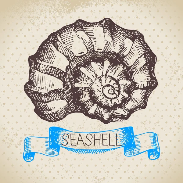 Schizzo di Seashell . — Vettoriale Stock