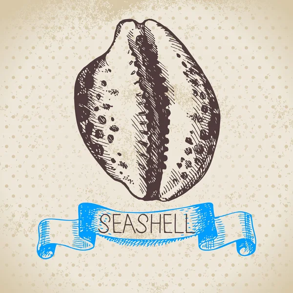 Schizzo di Seashell . — Vettoriale Stock