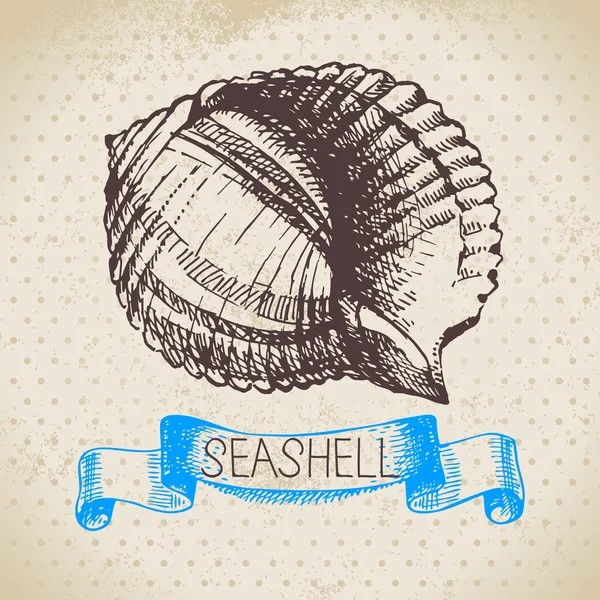 Seashell skiss. — Stock vektor