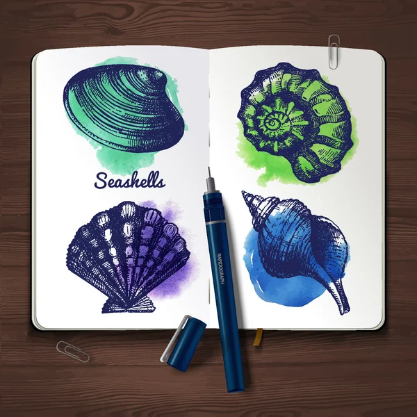 Cuaderno de bocetos con conchas marinas — Vector de stock