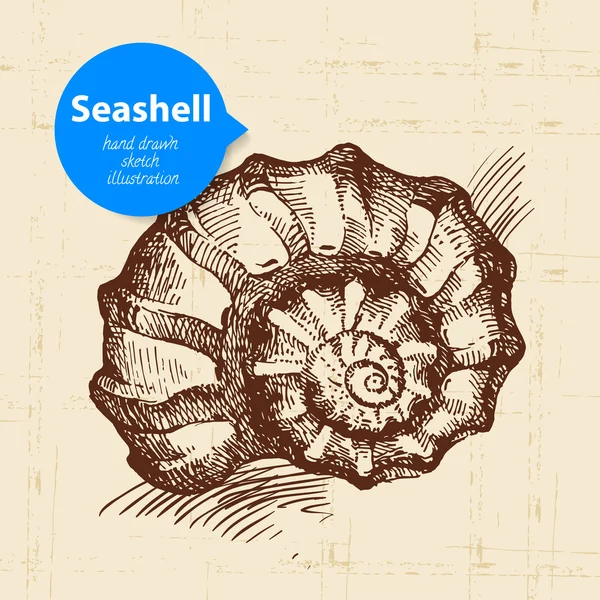 Seashell boceto dibujado a mano . — Vector de stock