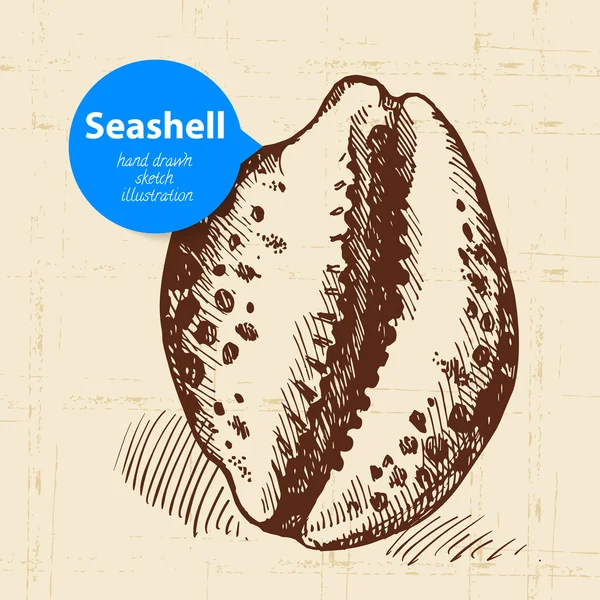 Seashell hand getrokken schets. — Stockvector