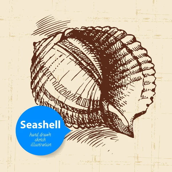 Seashell hand getrokken schets. — Stockvector