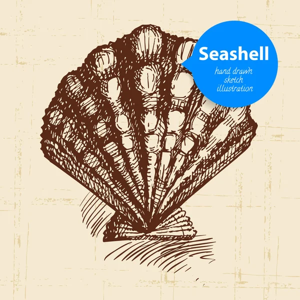 Seashell elle çizilmiş kroki. — Stok Vektör