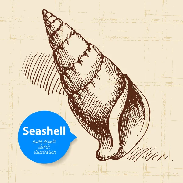 Seashell hand getrokken schets. — Stockvector