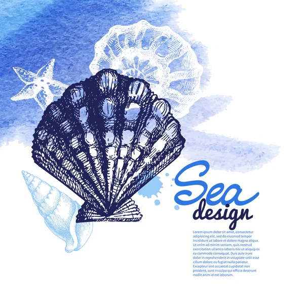 Seashell background. Sea nautical design. — Stock Vector