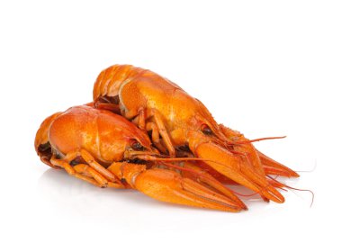 Üç haşlanmış crayfishes