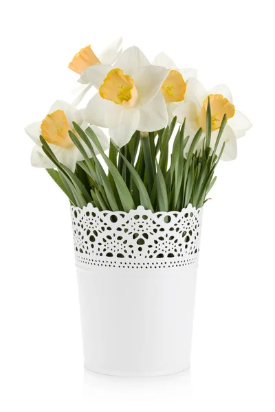 Bouquet di narcisi bianchi in vaso da fiori — Foto Stock