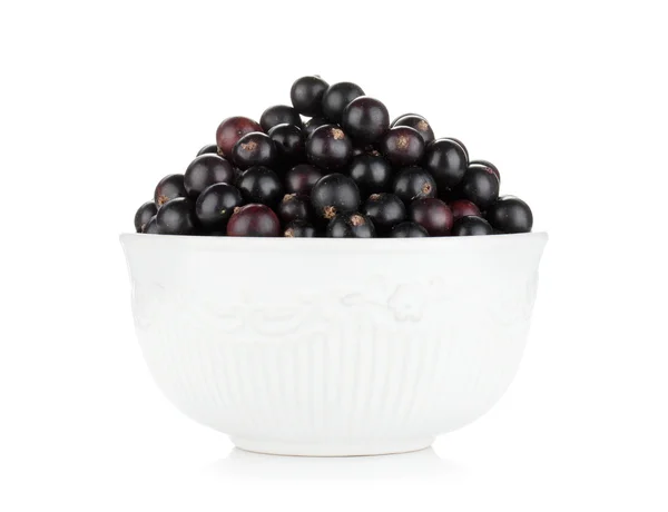 Black currant bowl — Stock Photo, Image