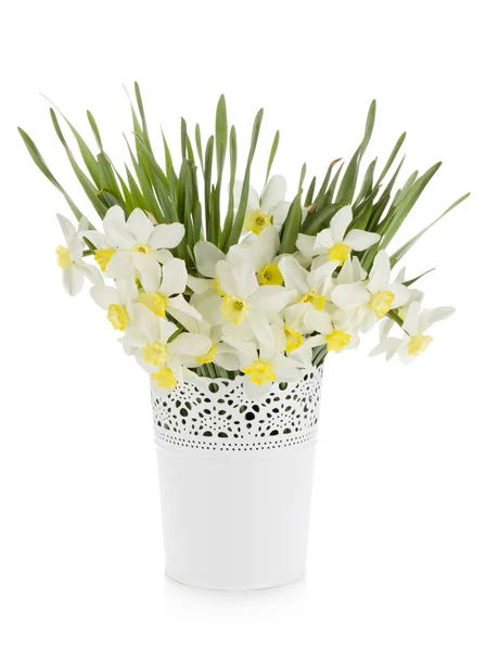 Bukett vit påskliljor i blomkruka — Stockfoto