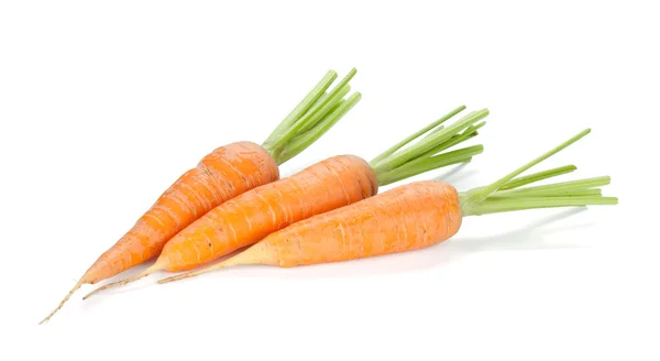 ताजा परिपक्व गाजर — स्टॉक फ़ोटो, इमेज