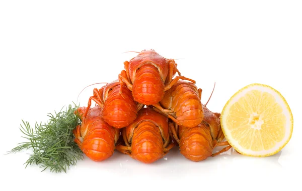 Boiled crayfishes with lemon slice and dill — Stock Photo, Image