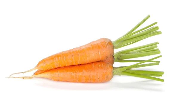 Zanahorias frescas maduras — Foto de Stock