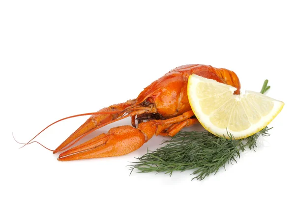 Boiled crayfish with lemon slice and dill — Stock Photo, Image