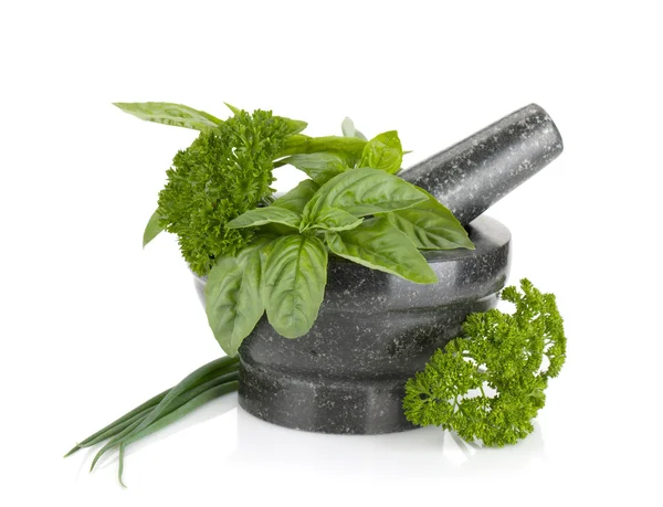 Fresh herbs and spices in mortar — Stock Photo, Image