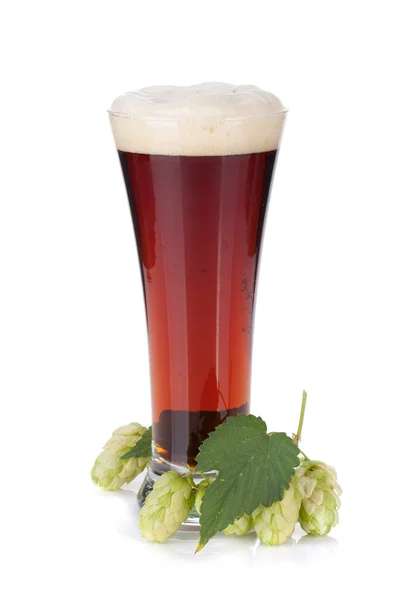 Dunkler Bierkrug und Hopfenzweig — Stockfoto