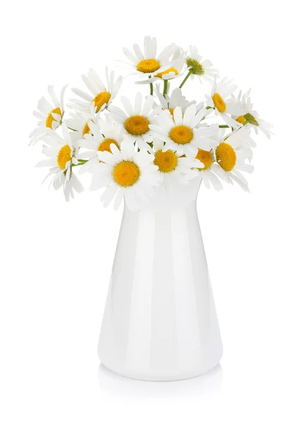 Bouquet di camomilla in vaso — Foto Stock