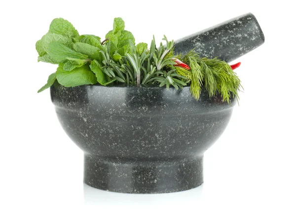 Fresh herbs in mortar — Stock Photo, Image