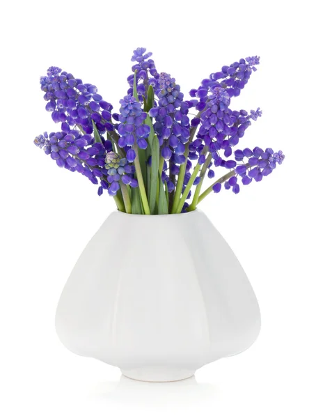 Blaue Hyazinthen blühen in einer Vase — Stockfoto