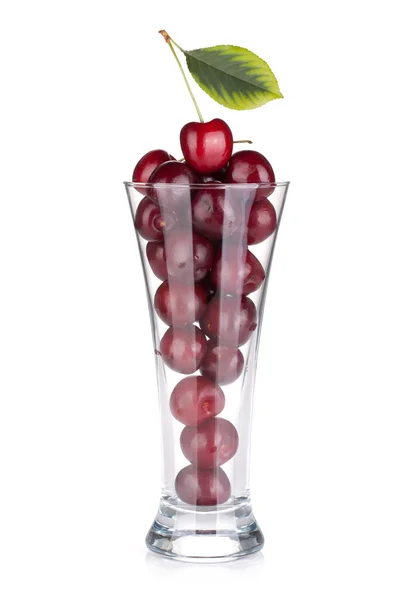 Cerejas maduras em um copo de coquetel — Fotografia de Stock