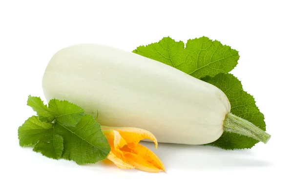 Färsk zucchini frukt med gröna blad och blomma — Stockfoto