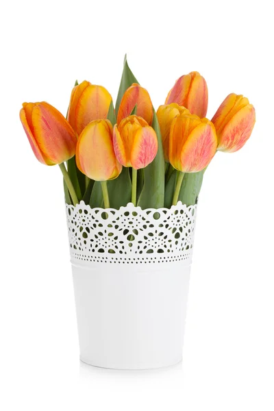 Orange tulips in flowerpot — Stock Photo, Image