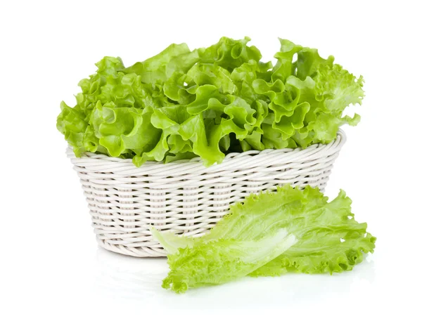 Sallad i korg — Stockfoto