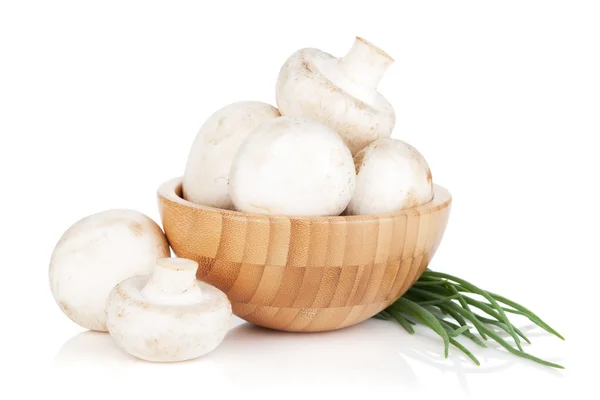 Bowl with champignon mushrooms and green onion — Stock Image Bowl with champignon mushrooms and green onion Stock Photo