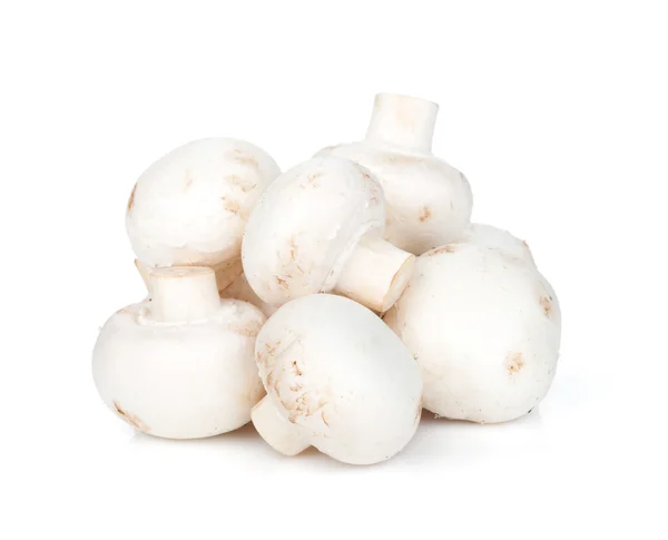 Heap of champignon mushrooms — Stock Image Heap of champignon mushrooms Stock Photo