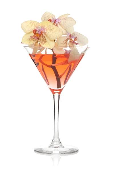 Цветы орхидеи в стакане для коктейля — стоковое фото