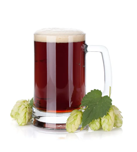 Dunkler Bierkrug und Hopfenzweig — Stockfoto