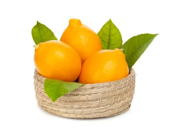 Cytryn pomarańczowy z liści — Zdjęcie stockowe