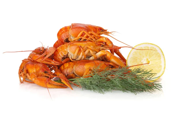 Boiled crayfishes with lemon slice and dill — Stock Photo, Image