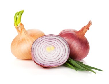 Fresh ripe onion clipart