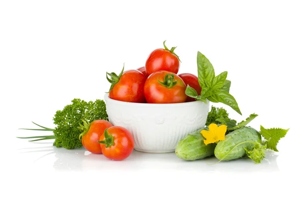 Ripe vegetables and herbs — Stock Photo, Image