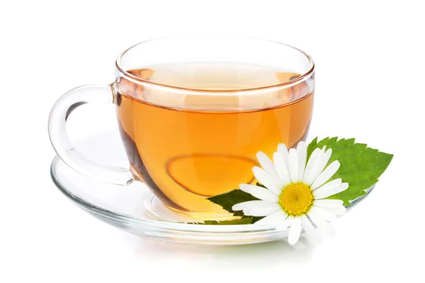 Φλιτζάνι τσάι με μέντα φύλλα και λουλούδια χαμομηλιού — Φωτογραφία Αρχείου