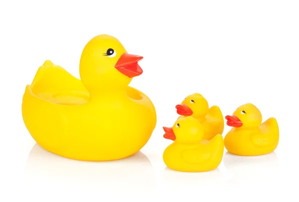 Familia de pato de goma — Foto de Stock