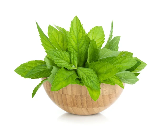 Wood bowl with fresh mint — Stock Photo, Image