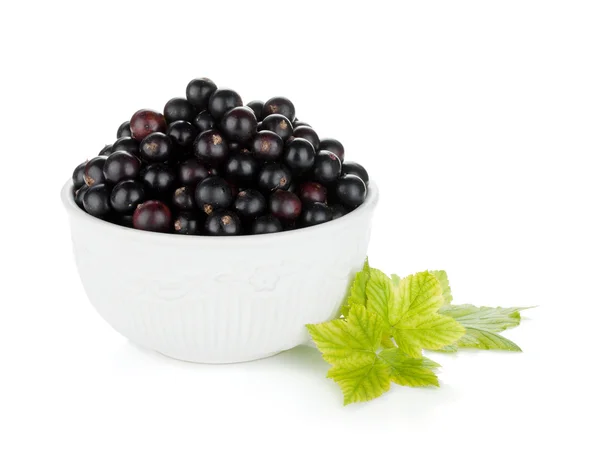 Black currant bowl — Stock Photo, Image