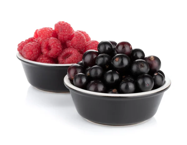 Black currant and raspberry — Stock Photo, Image